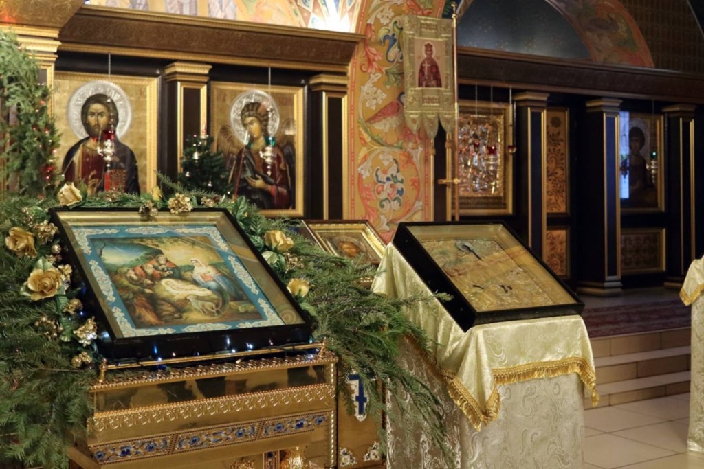 image-17-01-21-03-04-5